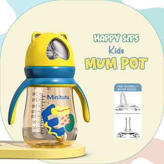 Mum Pots - Accessories Park
