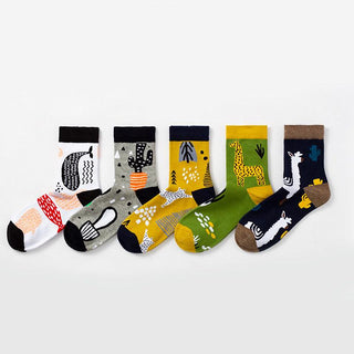 5 Pair set cartoon color trend Autumn and spring socks for men & women