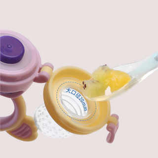 Baby Silicone Pacifier Food Chamber with Storage Box
